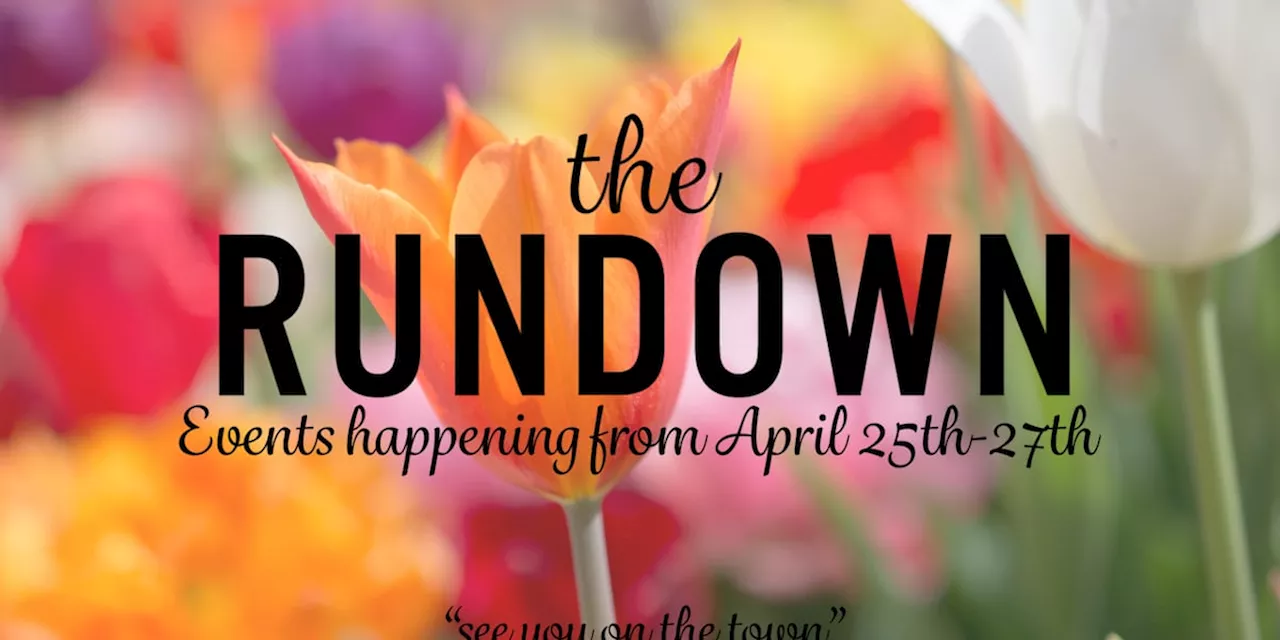 The Rundown: City festivals, fun day and more this weekend