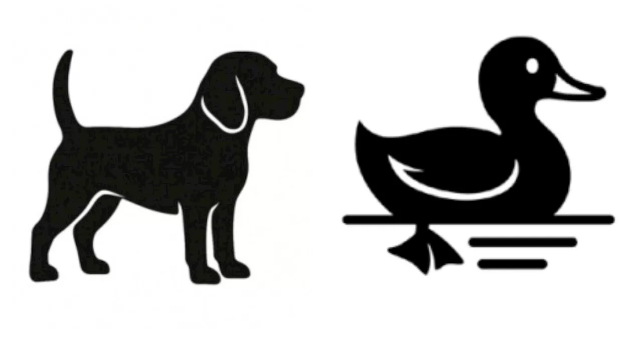 'Smart, cute move': Netizens adore independent candidates Darryl Lo and Jeremy Tan's duck and dog symbols for GE2025