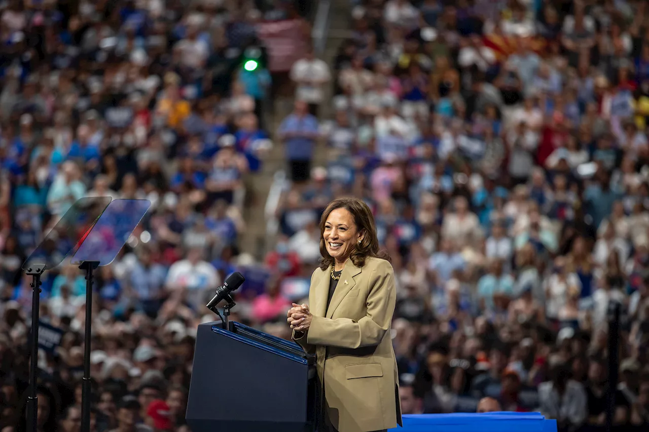 As Harris ponders run for California governor, is she prepared for the daunting job?