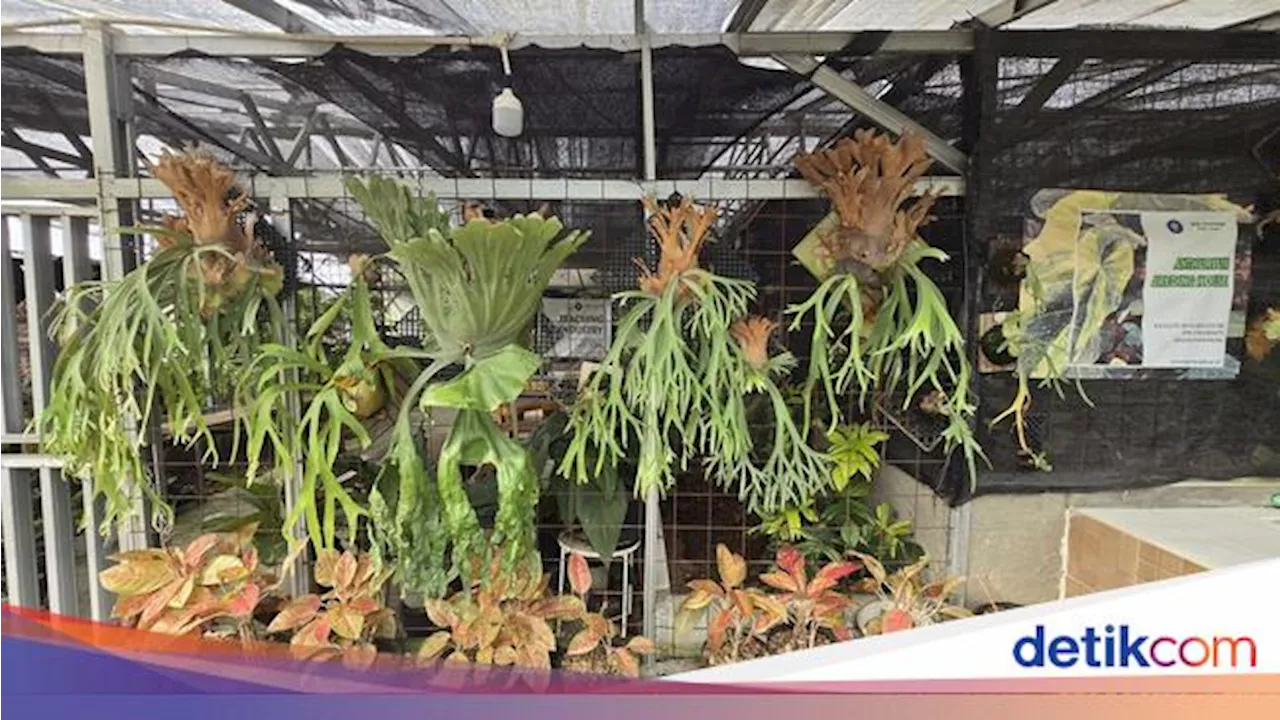 Mimpi Desa UMKM di Kaki Gunung Salak Jadi Objek Wisata