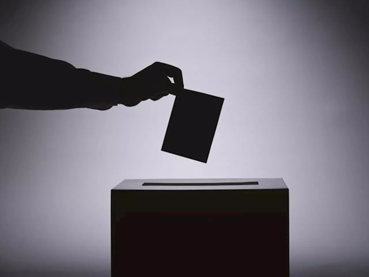 ‘Affront to democracy’: Senators urge further probe into China’s election 'interference'
