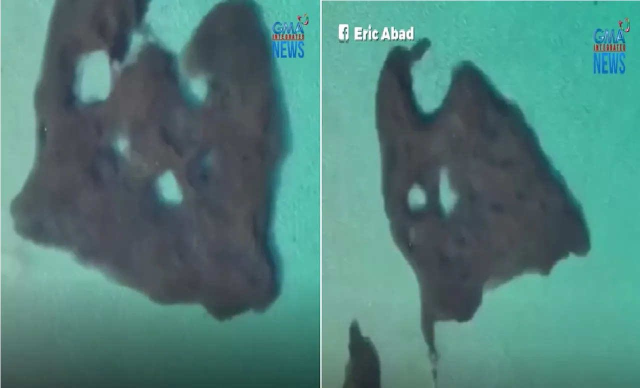 Nakamamanghang pigura sa dagat na nag-iiba-iba ng porma, kumpol pala ng mga isda sa Palawan