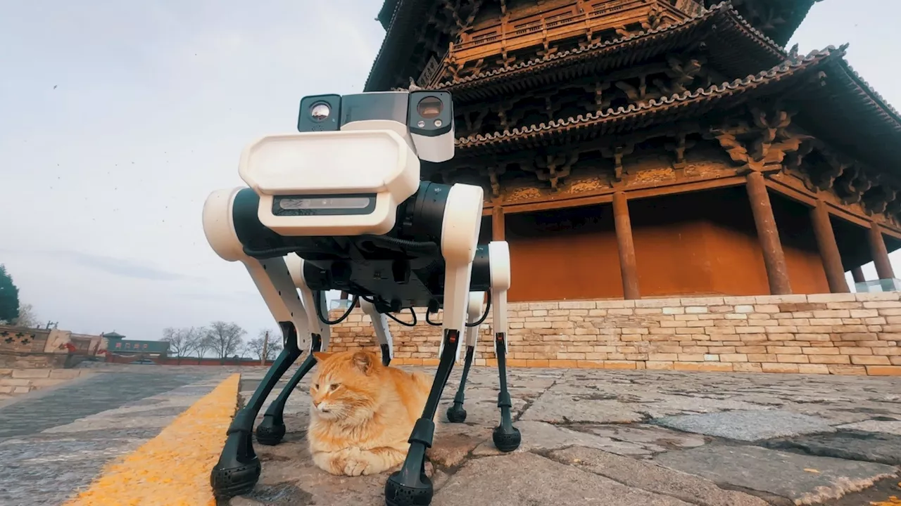 Lenovo’s six-legged robot dog uses AI to preserve ancient Chinese pagoda