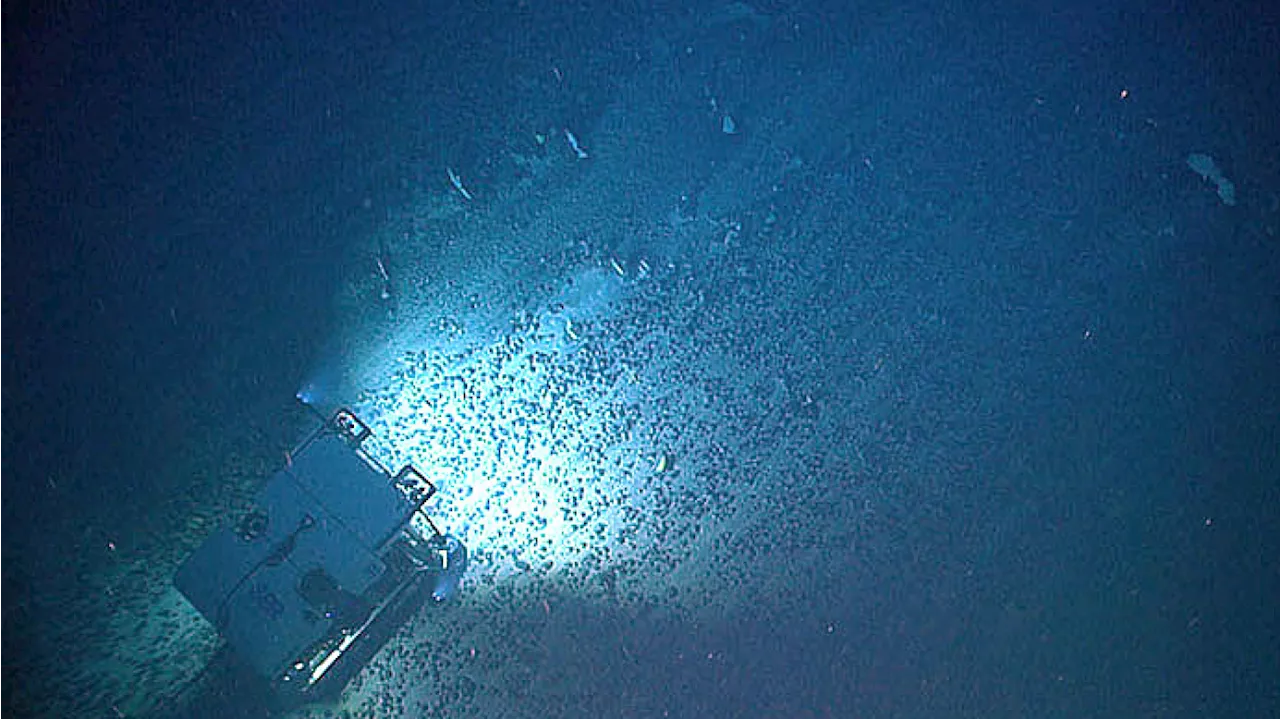 ‘The next gold rush’: President Trump unlocks access to critical deep seabed minerals