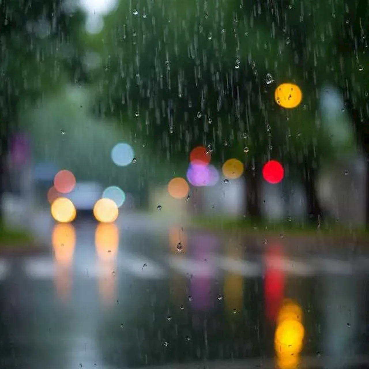 Weather service warns of severe thunderstorms - South Africa Today