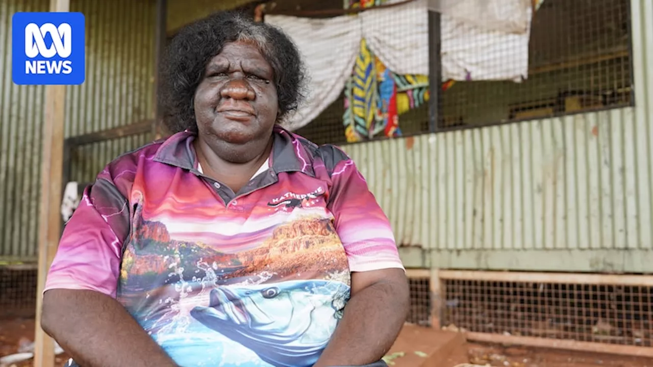 NT's remote communities still waiting on benefits of federal $4 billion housing promise