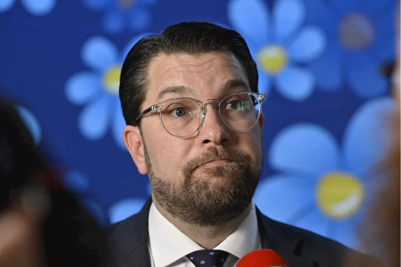 Åkesson (SD): ”Propagandaministern i Nazityskland skulle vara stolt”