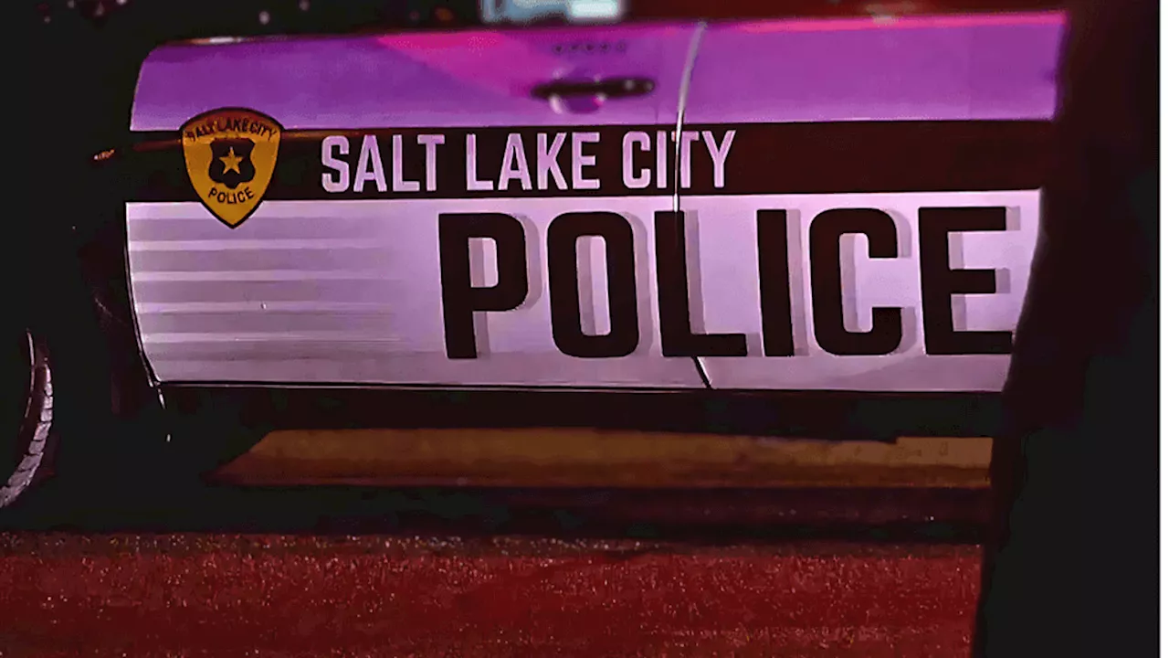 Two alleged gang members arrested in illegal street-race-turned-shooting