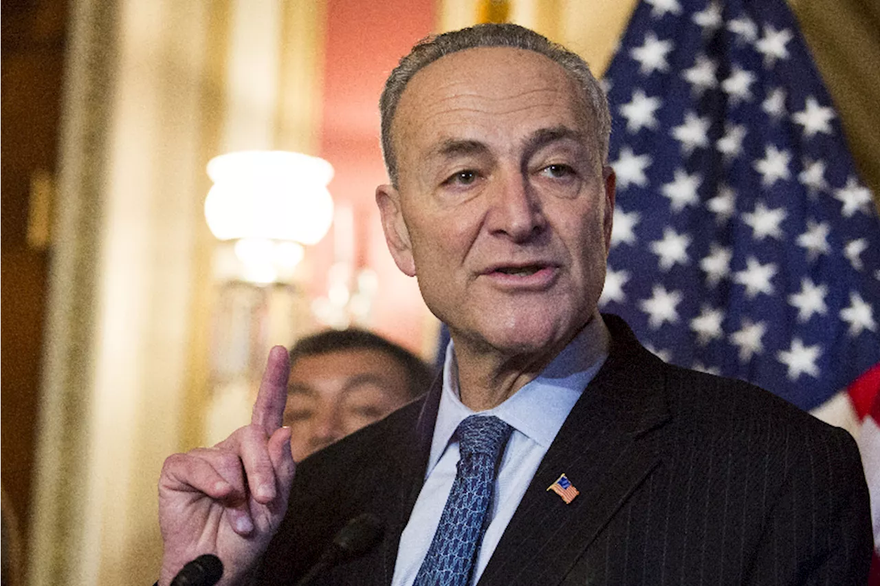 – Chuck Schumer reacts as US judge blocks Trump’s executive order