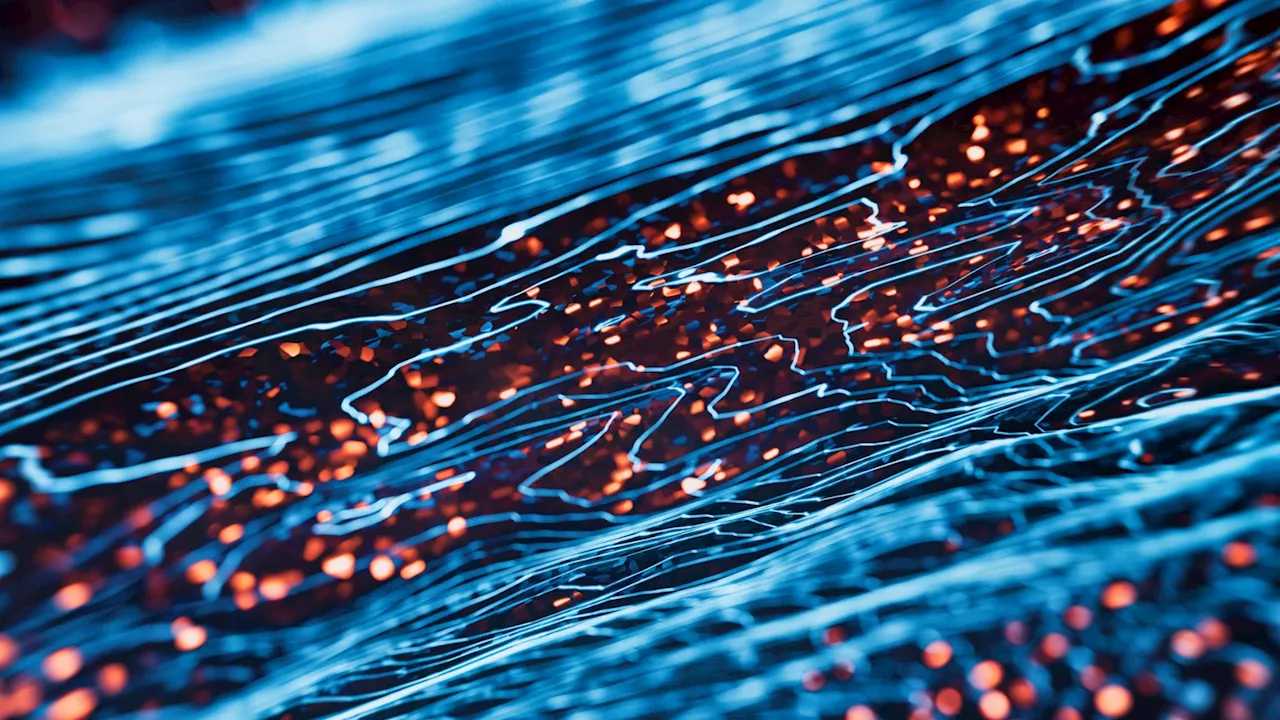 Quantum secrets of light: Bright and dark states create interference patterns