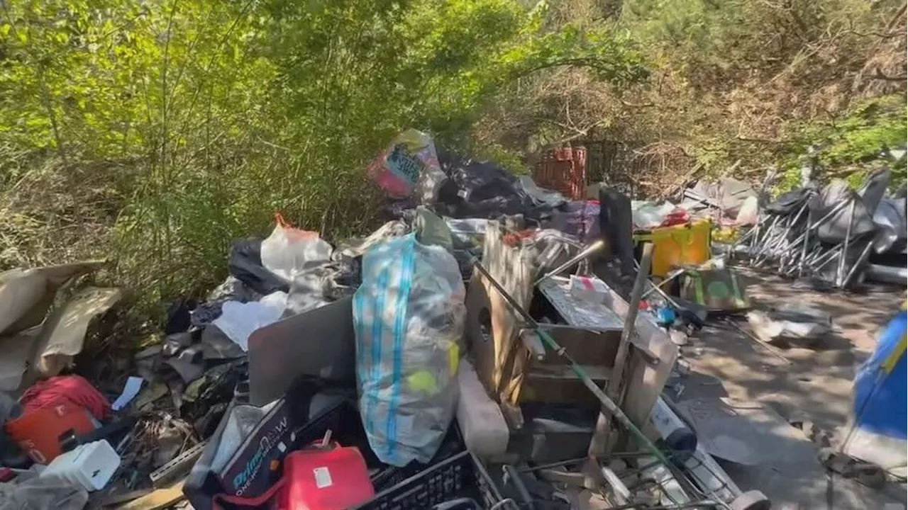 10,000 pounds of trash removed from Seattle public park