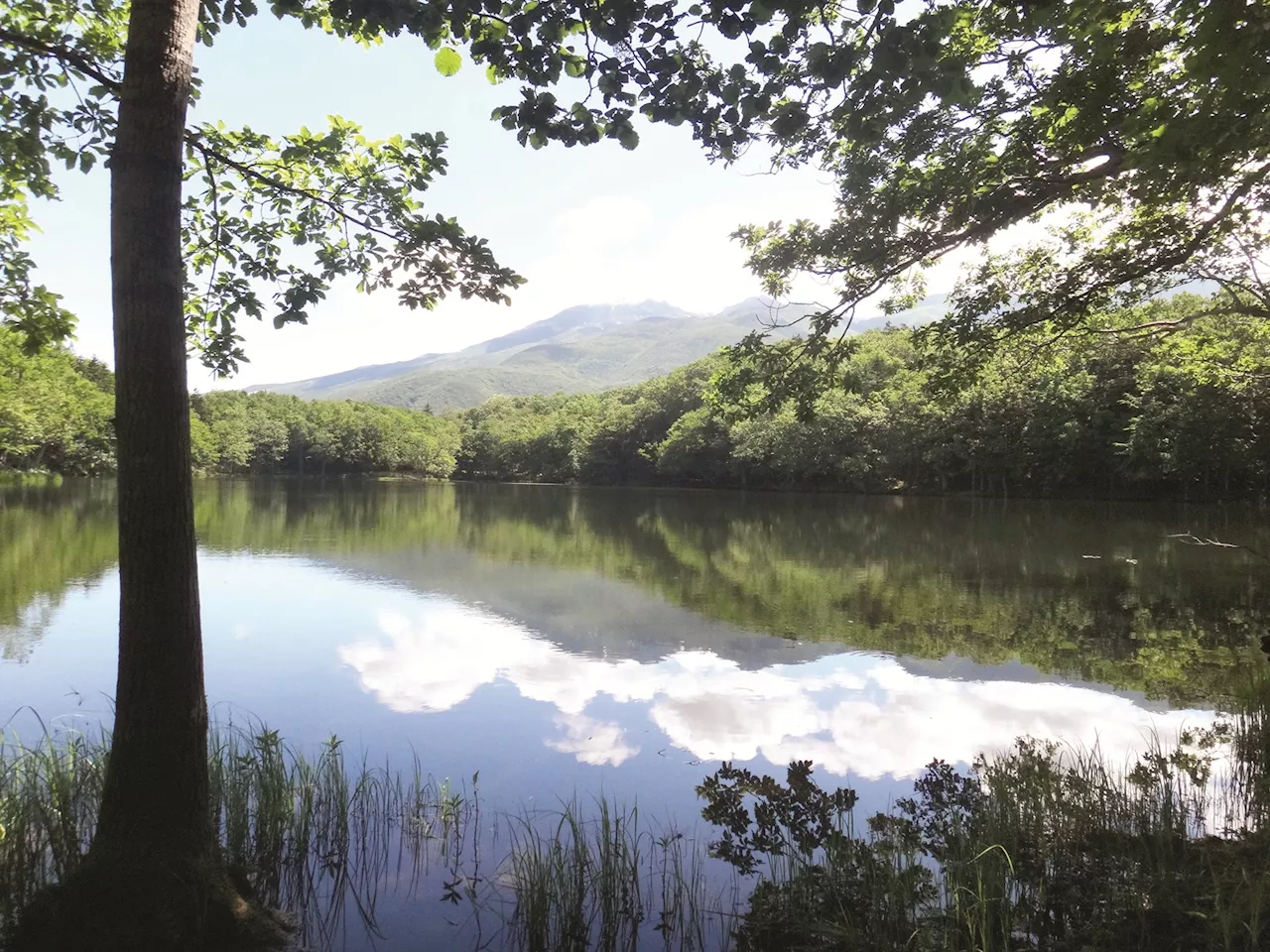 An invitation to see a side of Japan few ever experience