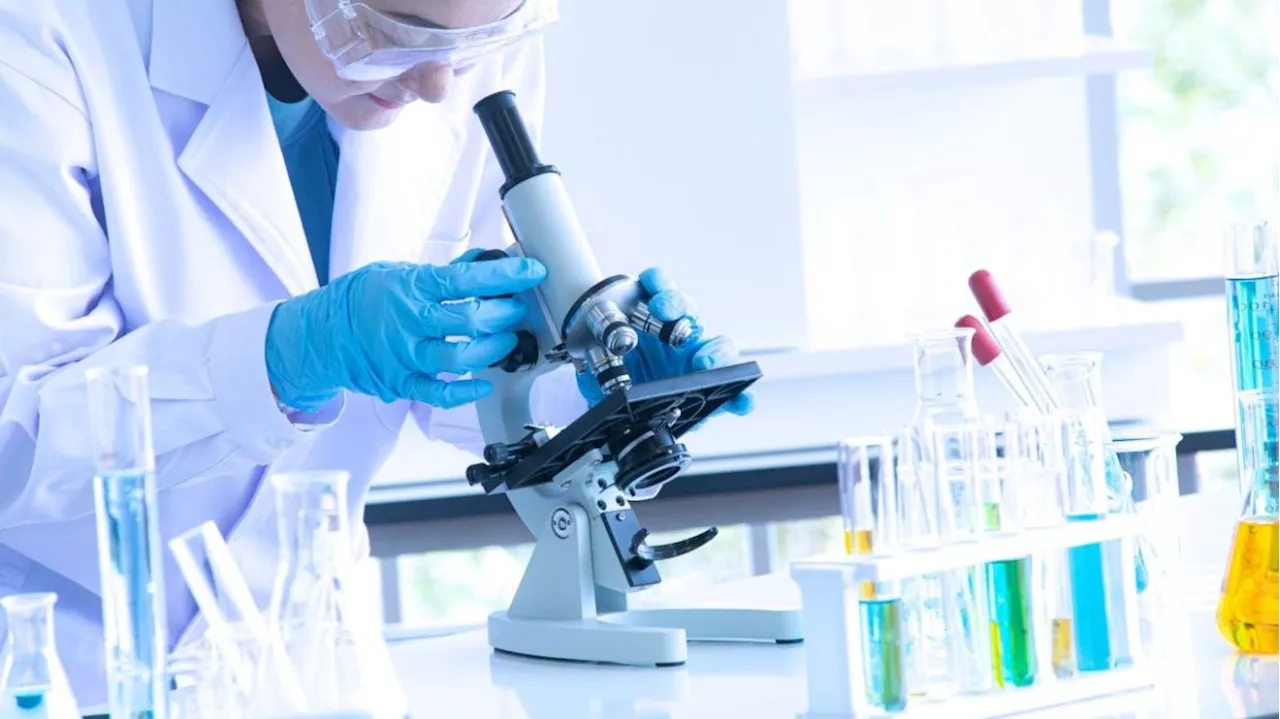 Grant fraud and other academic offences threaten China’s innovation push, state media says