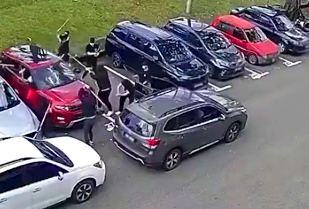 QuickCheck: Did a gang of pole-wielding men batter a car in Johor?