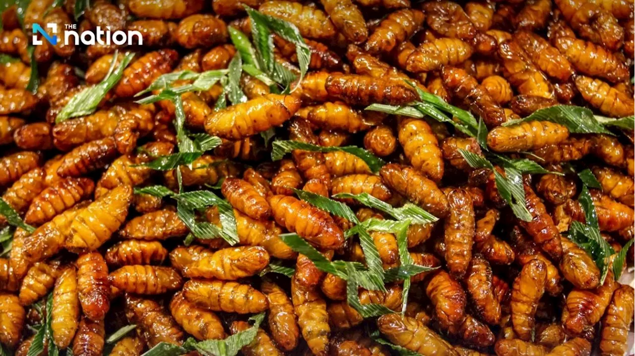 Would you dare? Exploring Thailand’s deep-fried insect delicacies