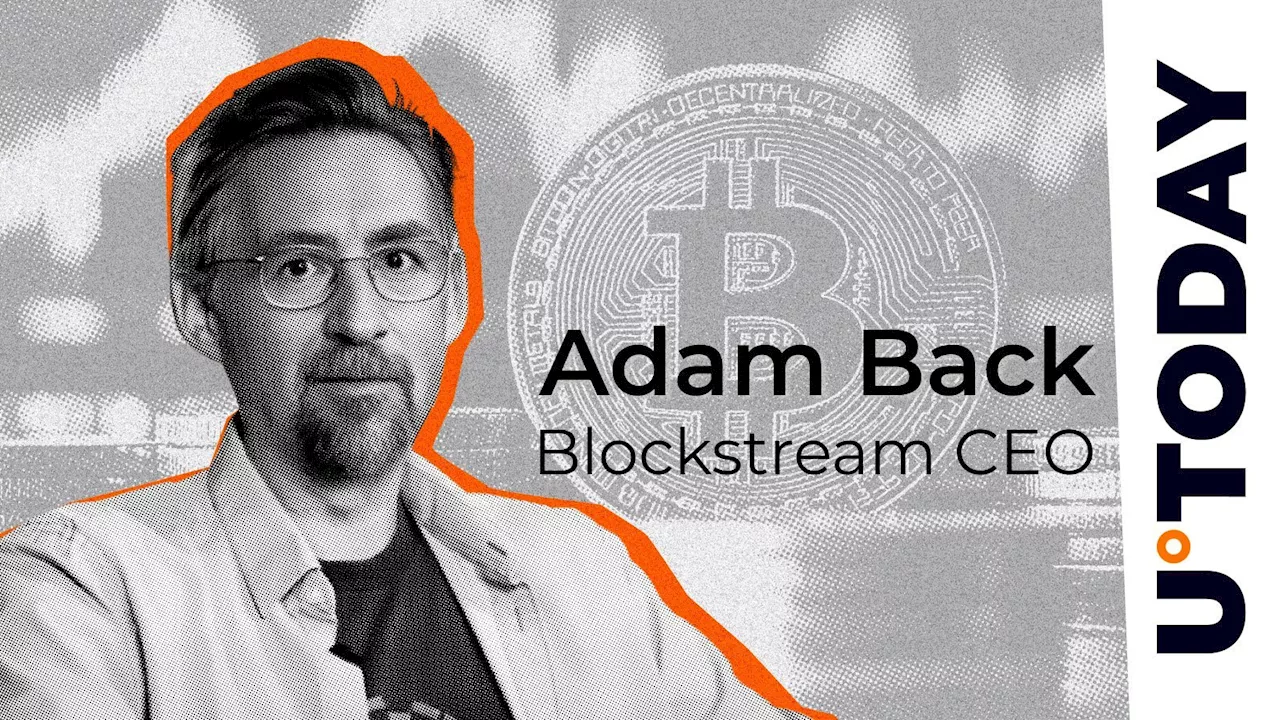 Adam Back Says It's 'Staggering' How Few Companies Copy Saylor