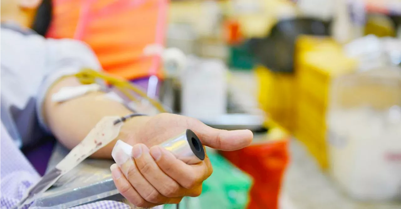 Projeto amplia folgas a trabalhador que doar sangue