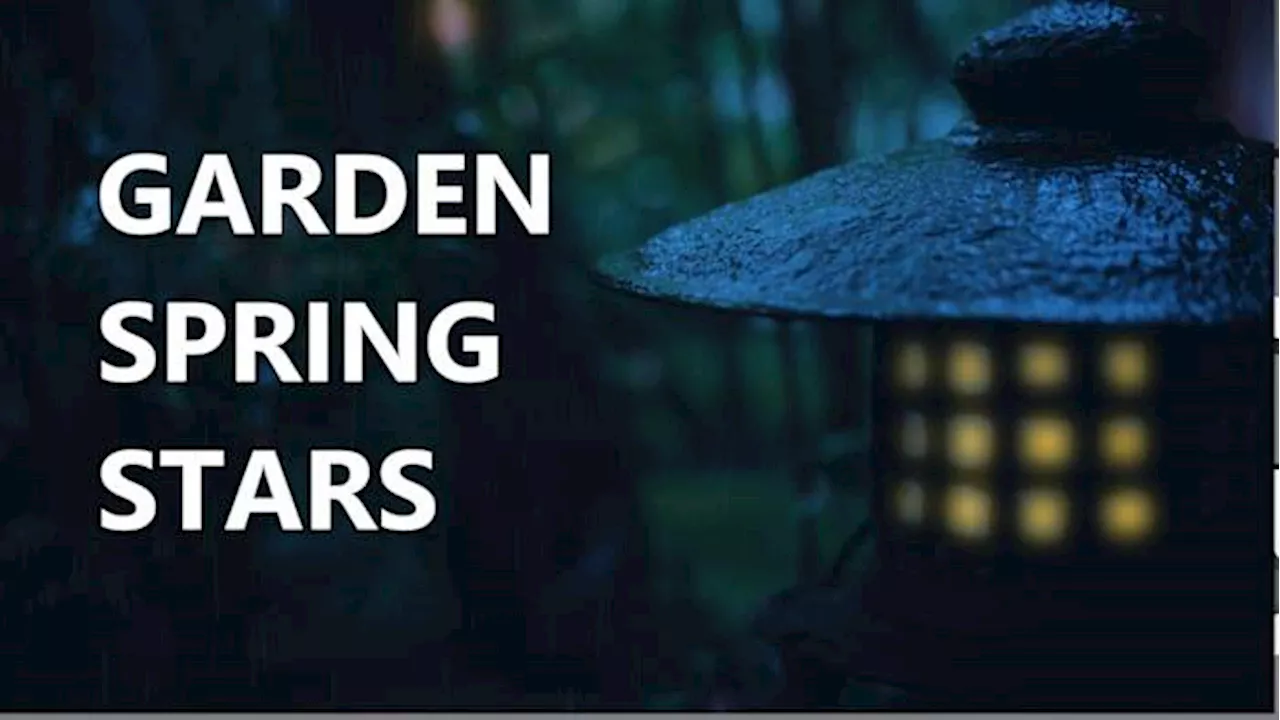 Sweet Potatoes, Cucumbers, Basil, and Rosemary: Time to Plant Your Garden, Houston.
