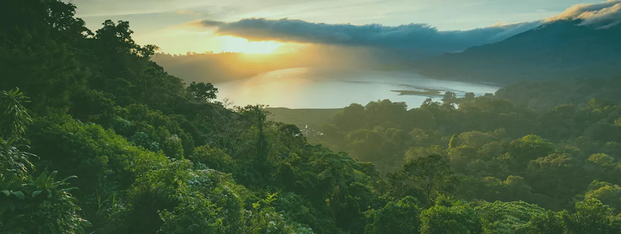 Telecoms firm backs DENR reforestation project in 6 provinces