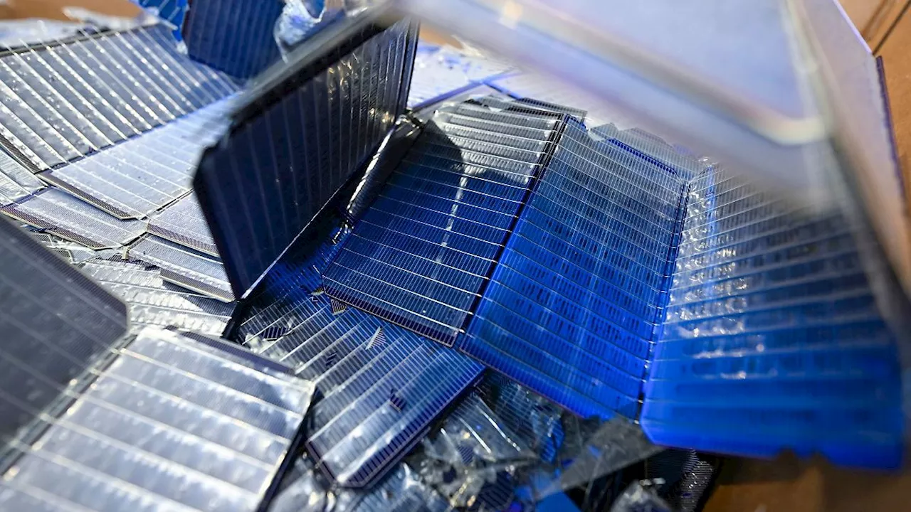 Sachsen-Anhalt: Neue Recyclinganlage für Solarmodule in Magdeburg