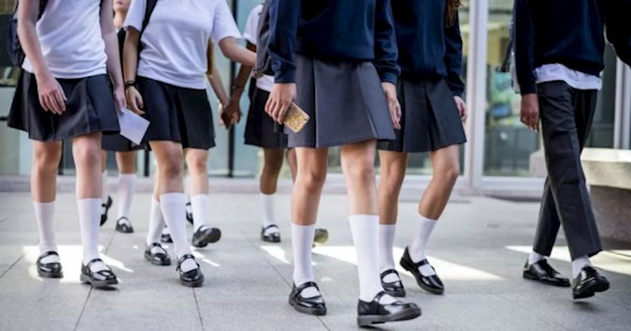  Sin escuelas: el Gobierno confirma que no habrá clases en establecimientos de todo el pa