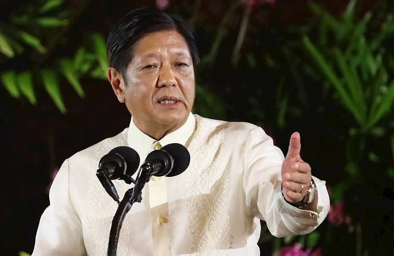 Marcos disagrees with sister Imee's findings on Duterte arrest