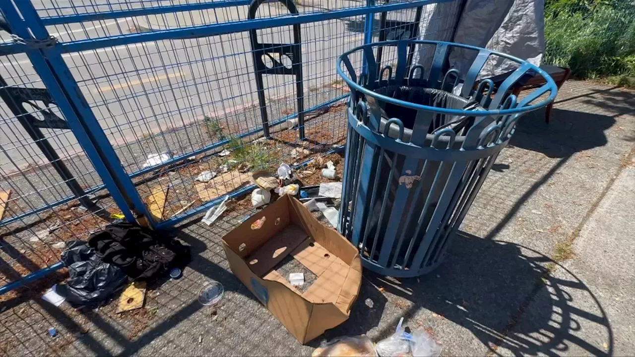 Pilot program incentivizes cleanup along 900-block of Pandora Avenue