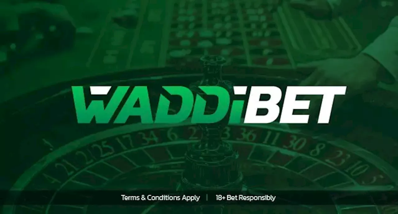 Livescore bet login surges in popularity with Waddibet’s launch