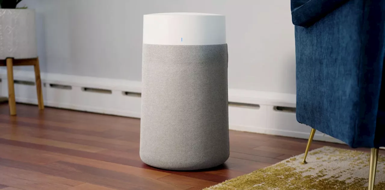 Clearing The Air With The Blueair Blue Pure 511i Max Air Purifier