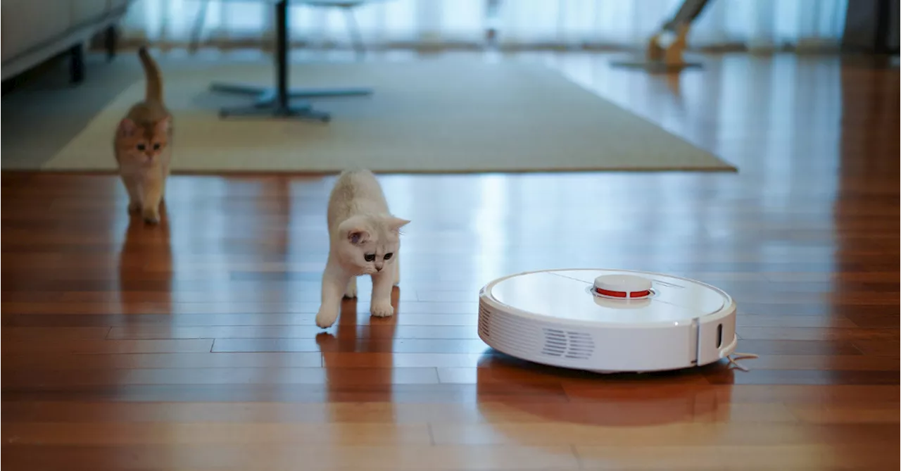 Scientists Think Robot Vacuums Are Lazy & Need New Jobs