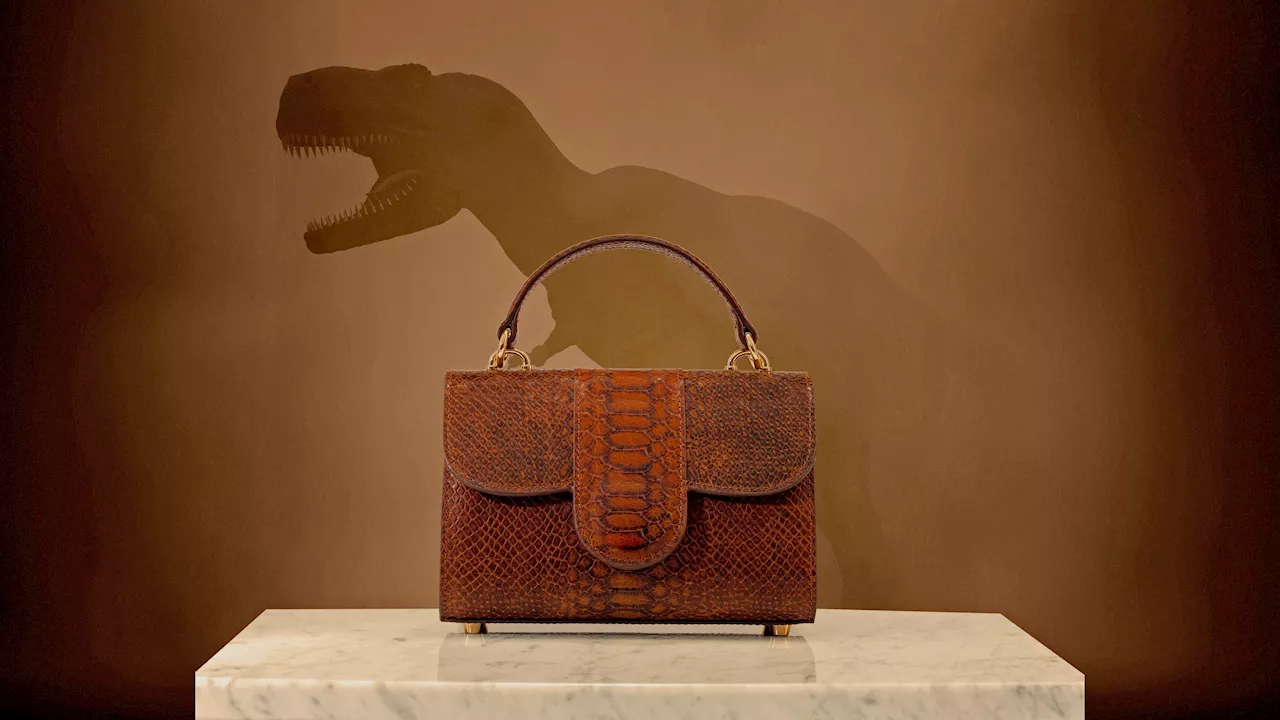 T. rex researchers eviscerate 'misleading' dinosaur leather announcement