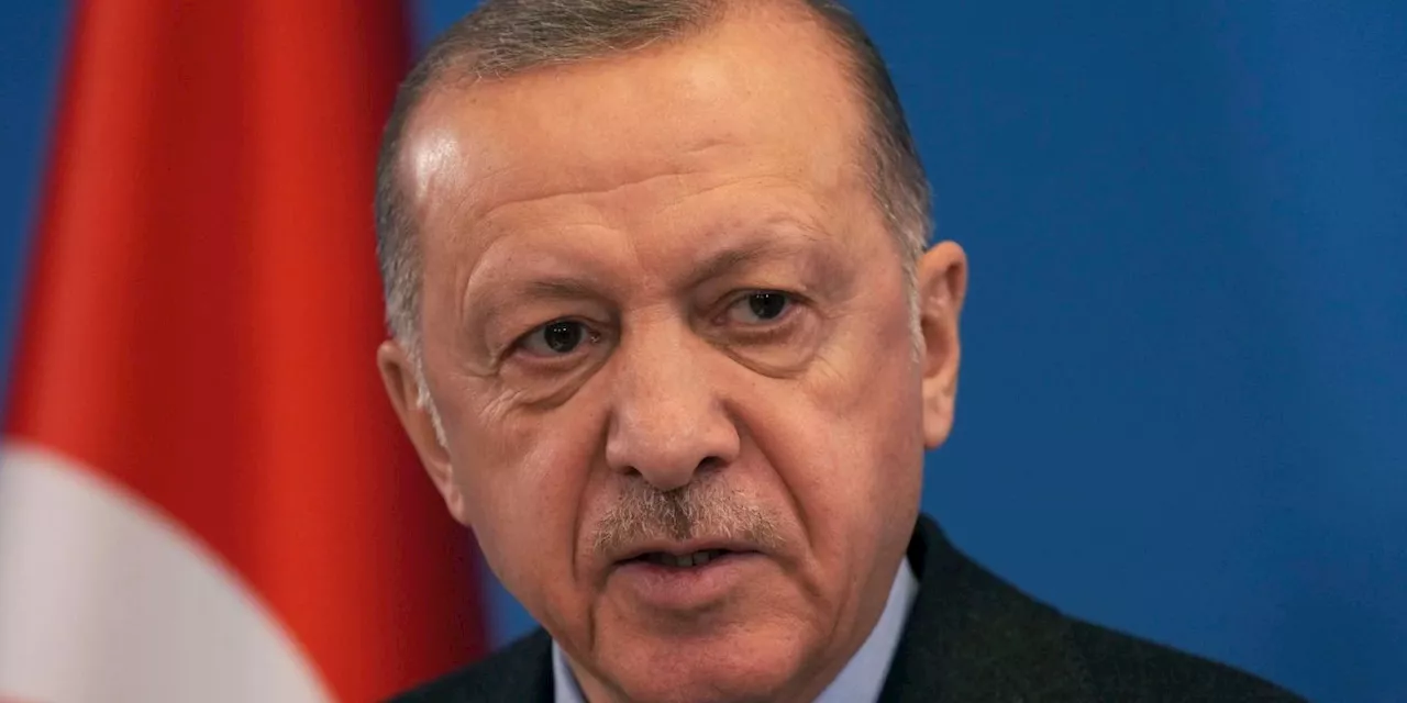 Präsidenten beleidigt: Schwedischer Journalist in Türkei verurteilt