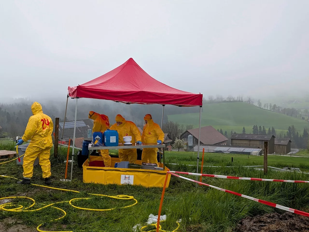 «MKS auf Schweinebetrieb»: Luzern übte Ernstfall