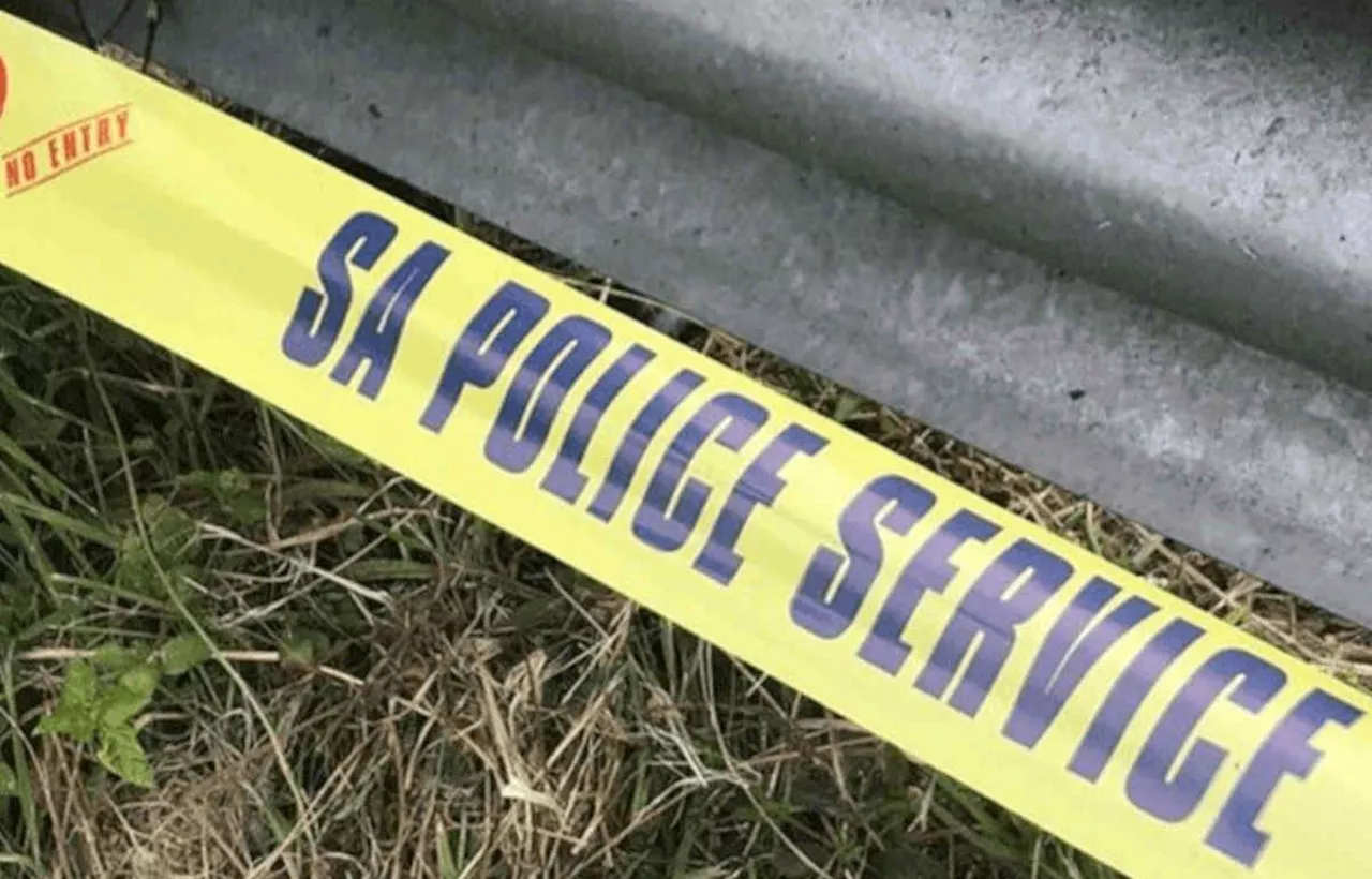 Fannie Masemola confirms identities of 3 constables found dead in Hennops River