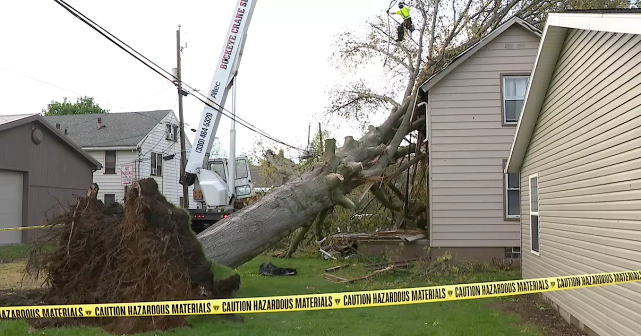 'My house shook' Downed trees, power outages & property damage in New Philadelphia following Tuesday's storm