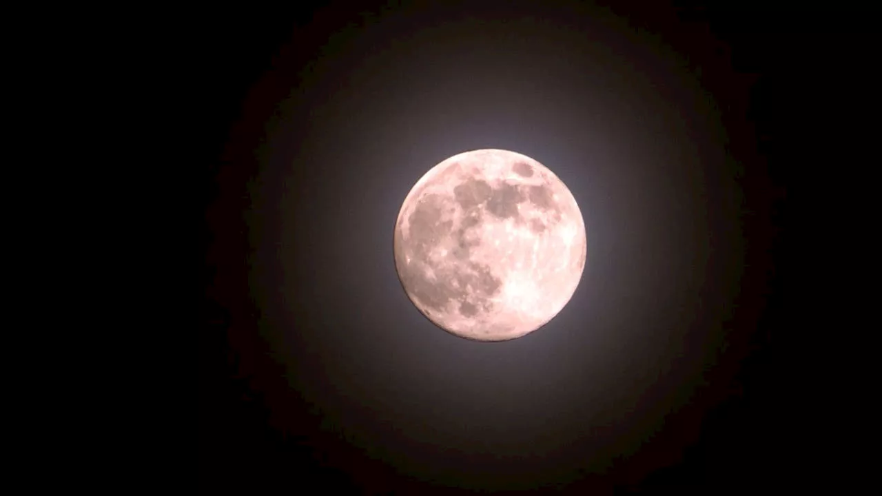 Full moon 2025: When April’s ‘Pink Moon’ will hit the sky