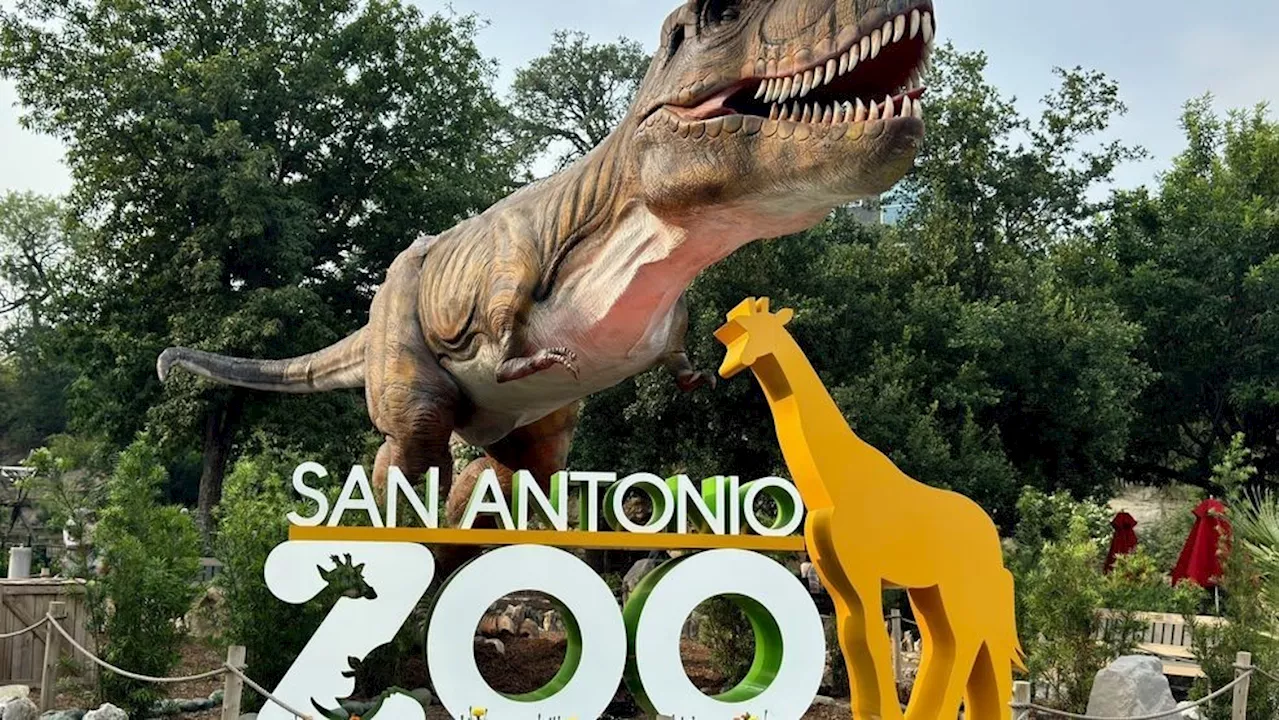 Join the Zoo's 2025 Safari trip to explore wildlife and culture in South Africa!