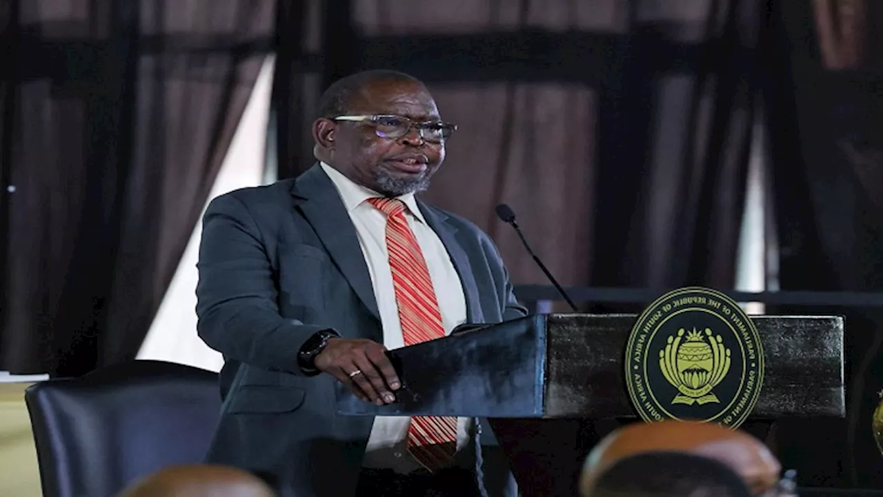 EFF takes adoption of Budget Fiscal Framework to court - SABC News - Breaking news, special reports, world,