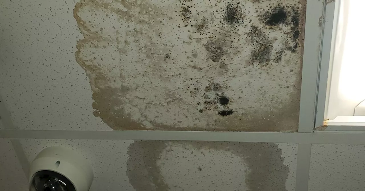 Air quality tests conducted at Cleveland elementary school following flooding, mold concerns