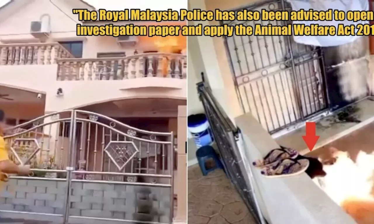 PDRM Urged to Investigate Viral Video of Man Throwing Molotov Cocktails at Puchong House & Pet Dog
