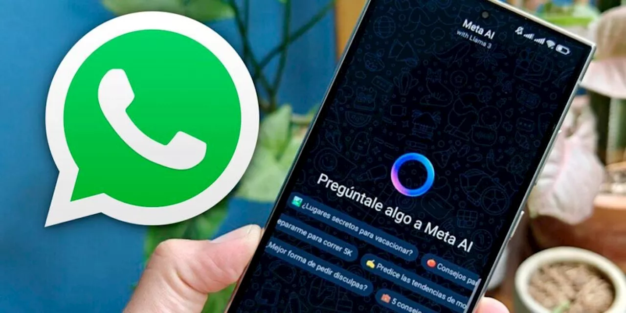 Cómo desactivar el círculo azul en WhatsApp