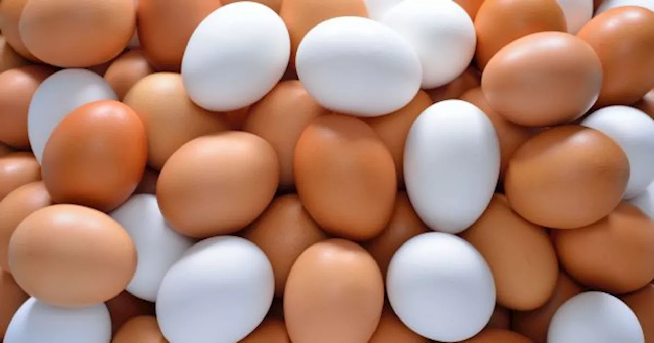 El país latino que triplicó las exportaciones de huevos a Estados Unidos por el alarmante aumento de precio