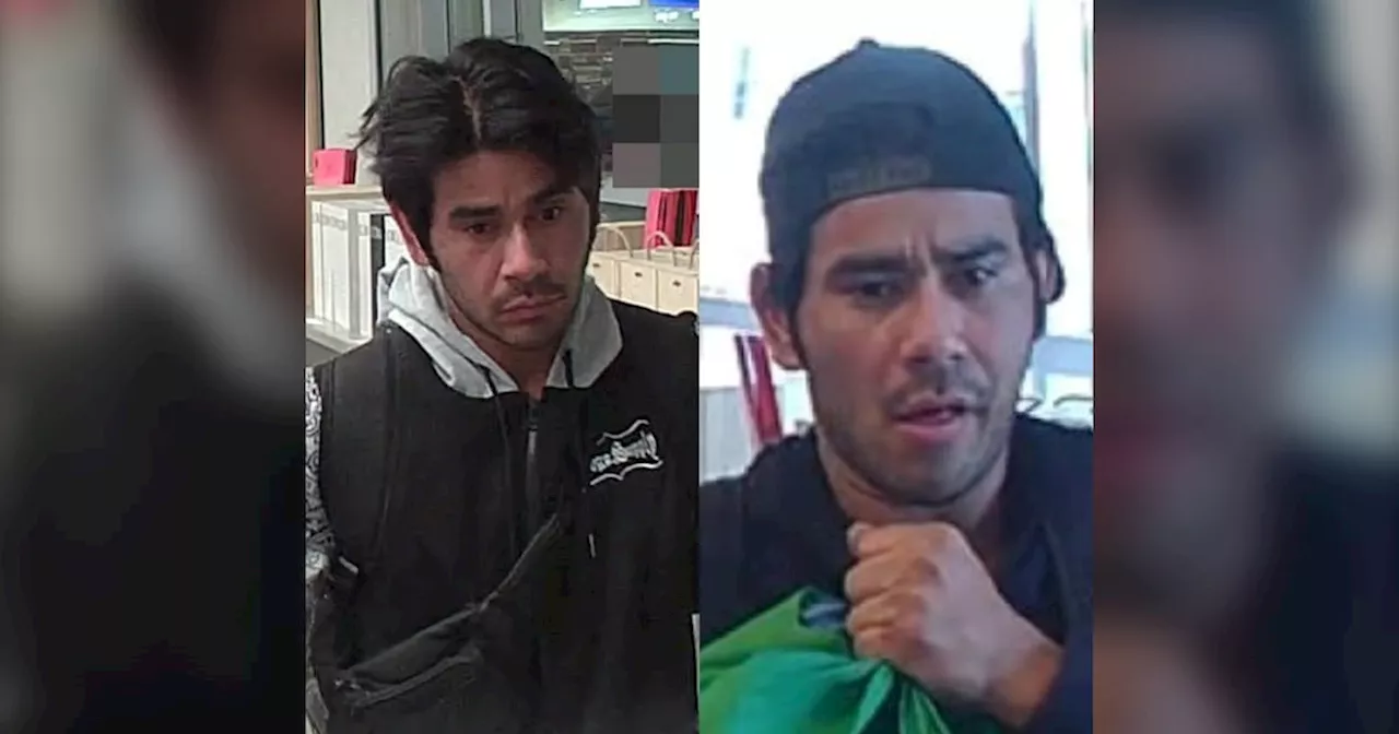 Man wanted after allegedly stealing $33,000 worth of alcohol from Toronto and GTA LCBO stores