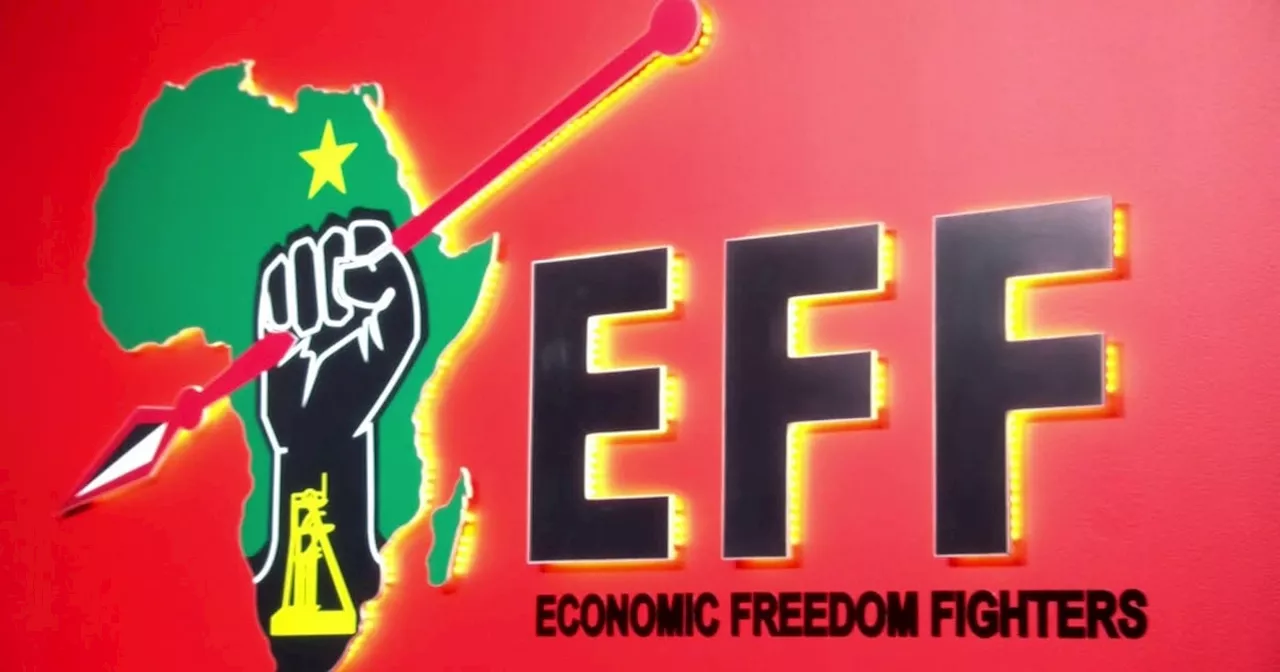 Adoption of final report supporting VAT increase followed 'gross irregularities', argues EFF in court