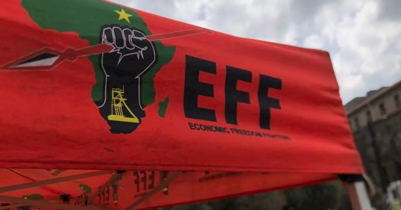 EFF says it's challenging the adoption of fiscal framework to protect 'democratic character' of Parliament