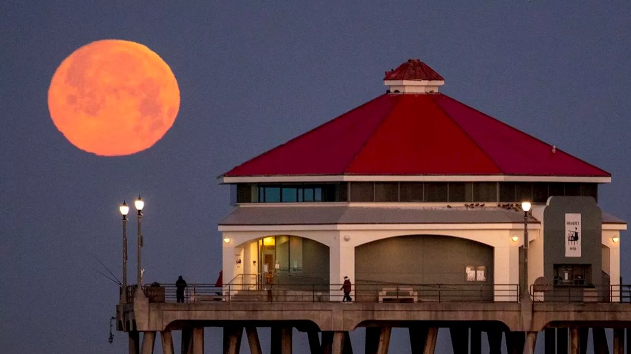 Pink Moon: When To See Spring’s First Full Moon Rise In Blaze Of Color
