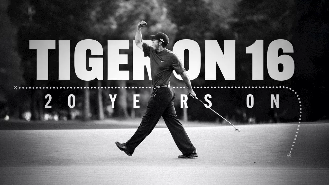 ‘F**k them’: Jab rival won’t forget... and wild $1.6m truth about iconic image: Tiger chip 20 years on