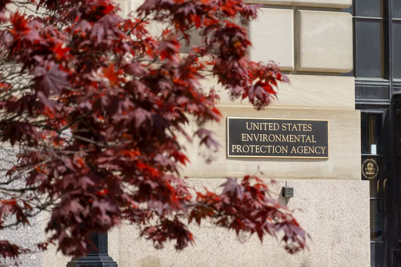 In Teams & Co.: US-Regierung lässt angeblich KI intern nach Trump-Kritik fahnden
