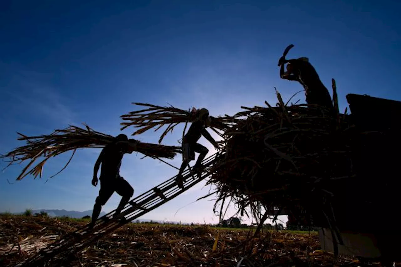 Senators on Labor Day: Give workers long-overdue living wage