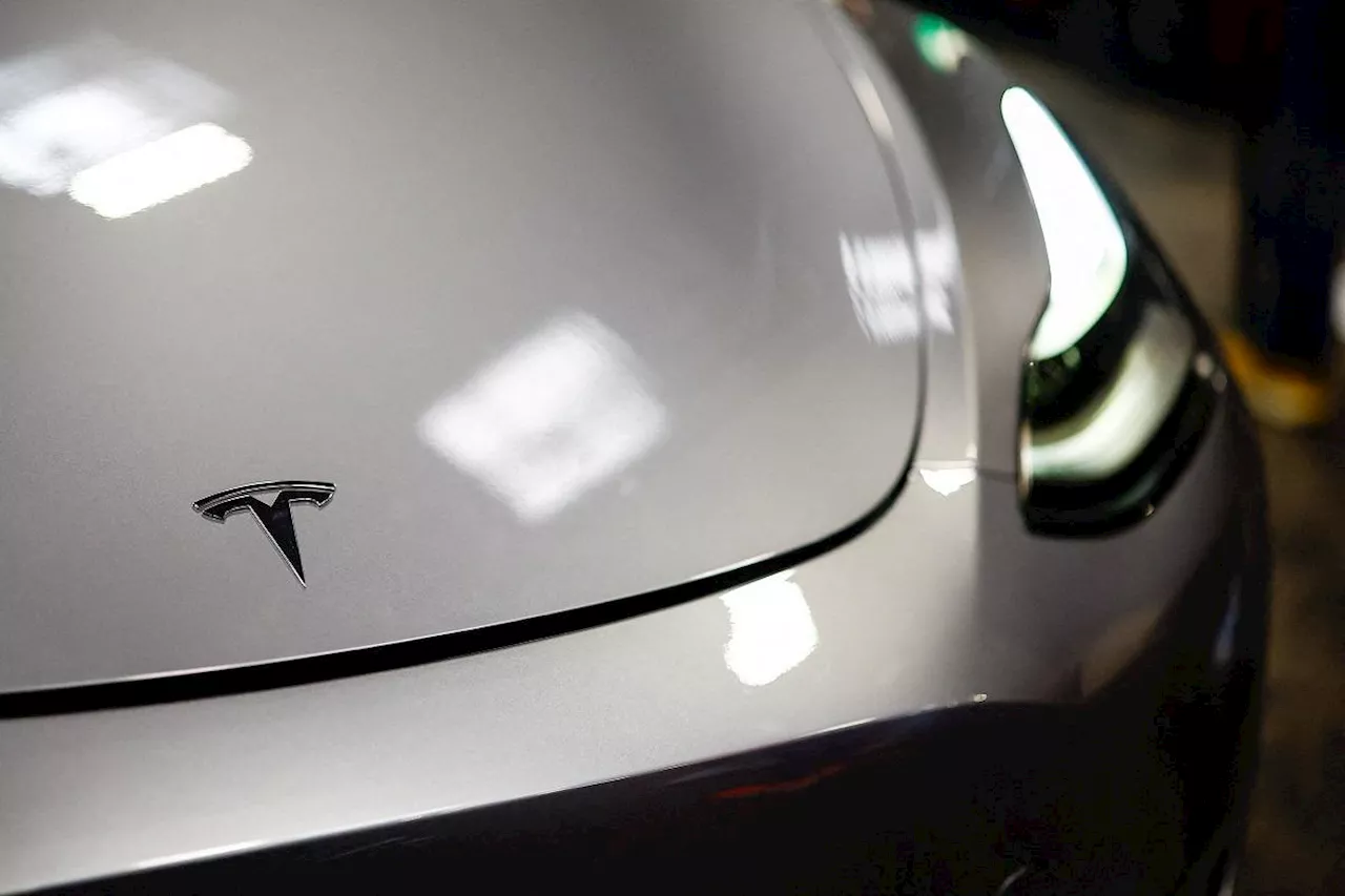 Tesla chair denies plans to look for new CEO to replace Musk